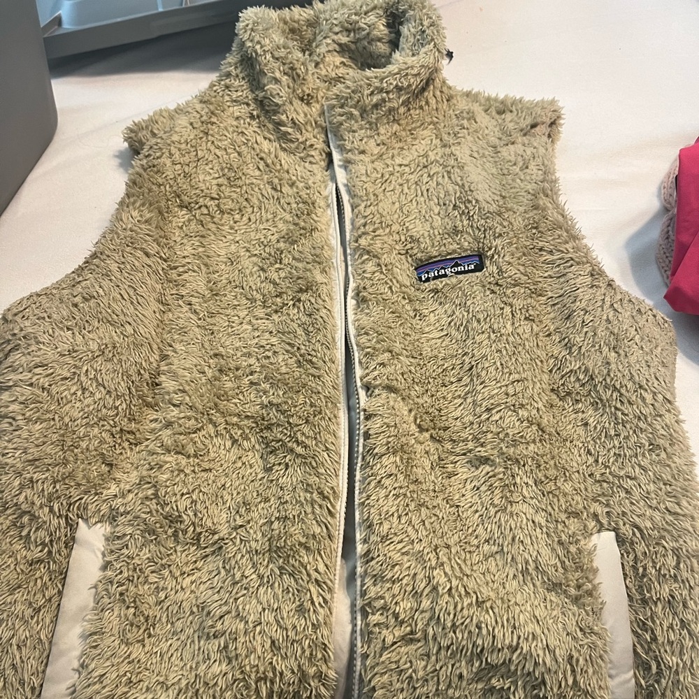 Patagonia Vest
